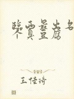 临西最出名的三个臭豆腐