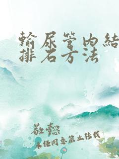 输尿管内结石的排石方法