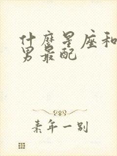 什么星座和射手男最配