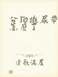 公狗撒尿带血是怎么了