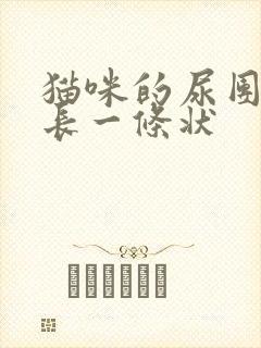 猫咪的尿团是很长一条状