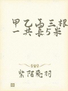 甲乙丙三根绳子一共长5米