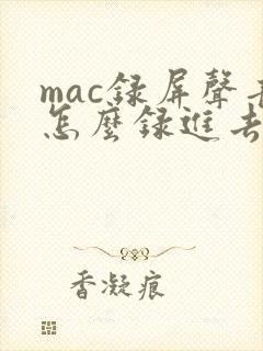 mac录屏声音怎么录进去