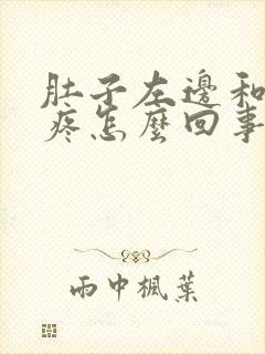 肚子左边和下边疼怎么回事