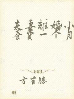 夫妻离婚小孩抚养费一个月多少钱