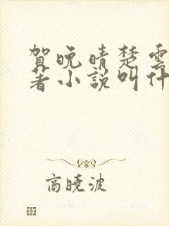 贺晚晴楚云深原著小说叫什么名字