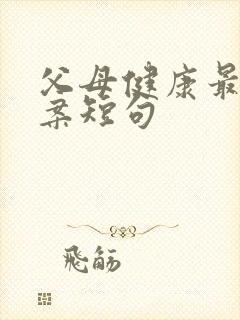 父母健康最火文案短句