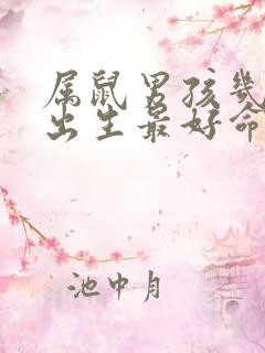 属鼠男孩几月份出生最好命