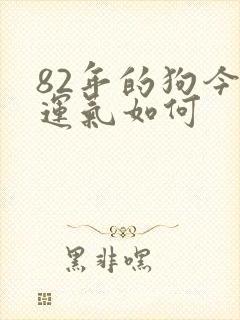 82年的狗今天运气如何
