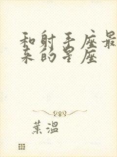 和射手座最合得来的星座