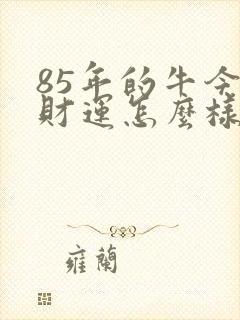 85年的牛今天财运怎么样
