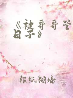 《被哥哥管教的日子》