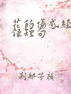 花的伤感经典语录短句