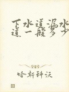 下水道漏水换管道一般多少钱