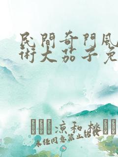 民间奇门风水秘术大茄子免费全文阅读