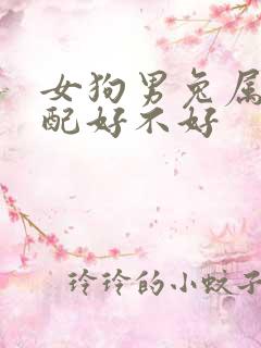 女狗男兔属相婚配好不好