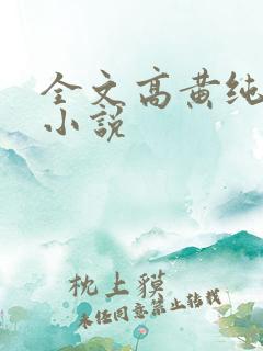 全文高黄纯肉的小说