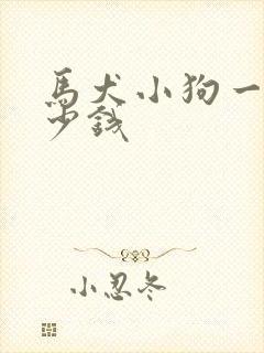 马犬小狗一只多少钱