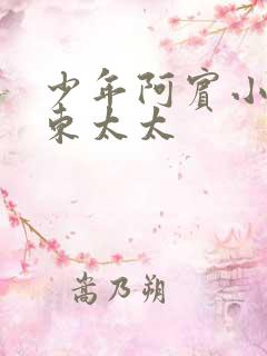 少年阿宾小说房东太太