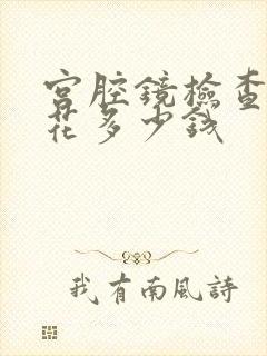 宫腔镜检查需要花多少钱