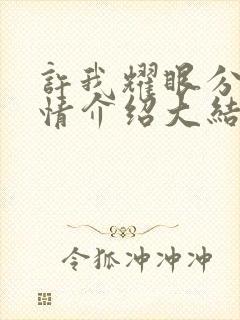 许我耀眼分集剧情介绍大结局