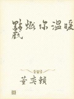 点燃你温暖我吻戏