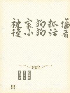 被家狗抓伤十天后小狗活着