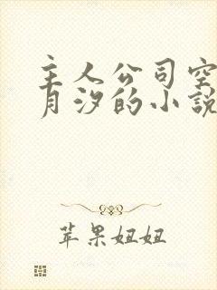 主人公司空靖苏月汐的小说