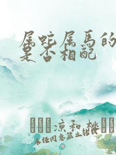 属蛇属马的婚姻是否相配