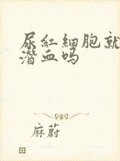 尿红细胞就是尿潜血吗