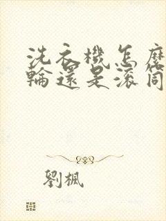 洗衣机怎么选波轮还是滚筒