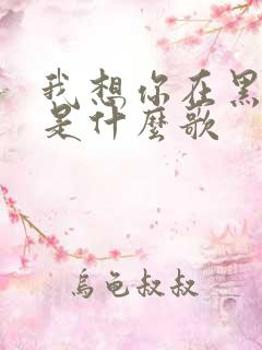 我想你在黑夜里是什么歌