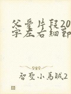 父爱片段200字左右细节描写