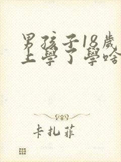 男孩子18岁不上学了学啥技术好