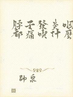 脖子发炎咽口水都痛吃什么药