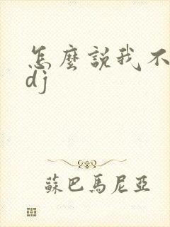 怎么说我不爱你dj