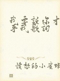 我要说你才能在乎我歌词