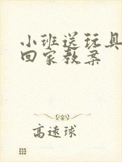 小班送玩具宝宝回家教案