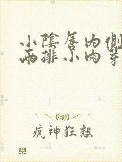 小阴唇内侧长了两排小肉芽