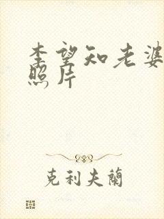 李望知老婆陈婷照片