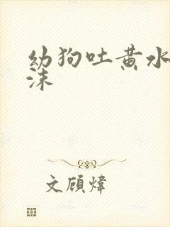 幼狗吐黄水带泡沫