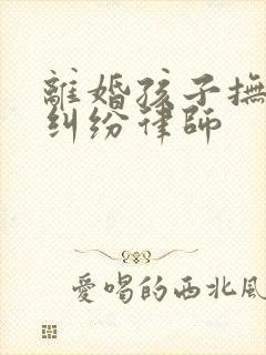 离婚孩子抚养权纠纷律师