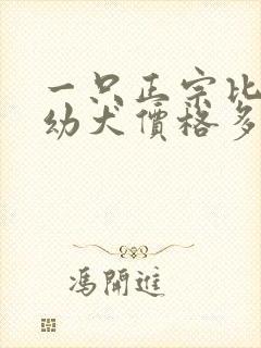 一只正宗比熊犬幼犬价格多少钱