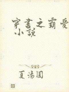 穿书之霸爱反派 小说