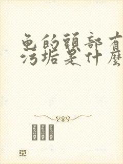 龟的头部有白色污垢是什么