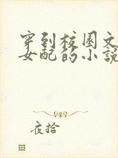 穿到校园文里做女配的小说