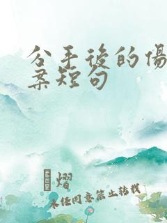 分手后的伤感文案短句