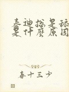 泰迪总是舔爪子是什么原因