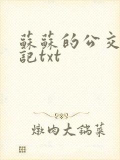 苏苏的公交车日记txt