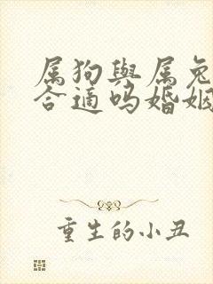 属狗与属兔婚配合适吗婚姻如何